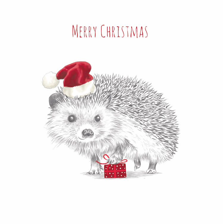 Charity Christmas Cards