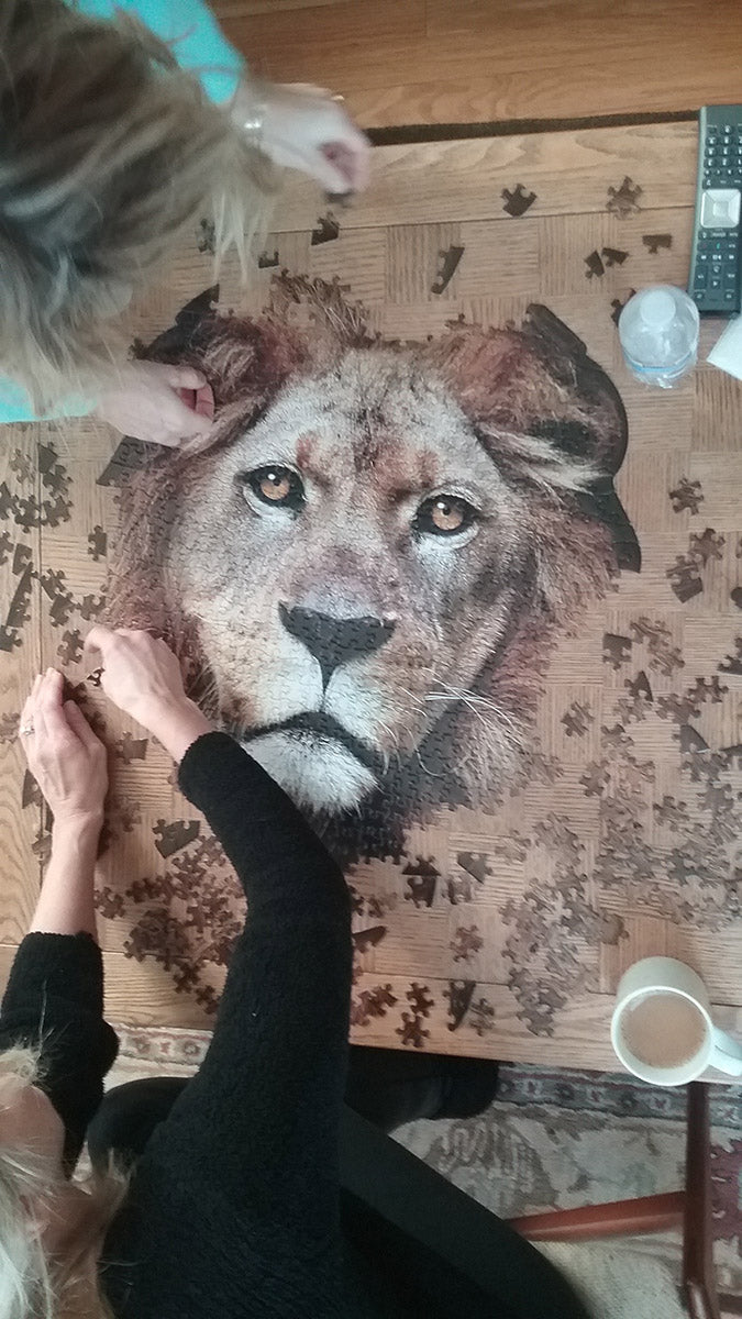 I Am Lion Puzzle 550pc