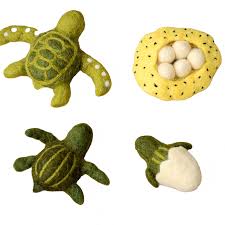 Felt Lifecycle Of Green Sea Turtle