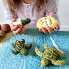 Felt Lifecycle Of Green Sea Turtle