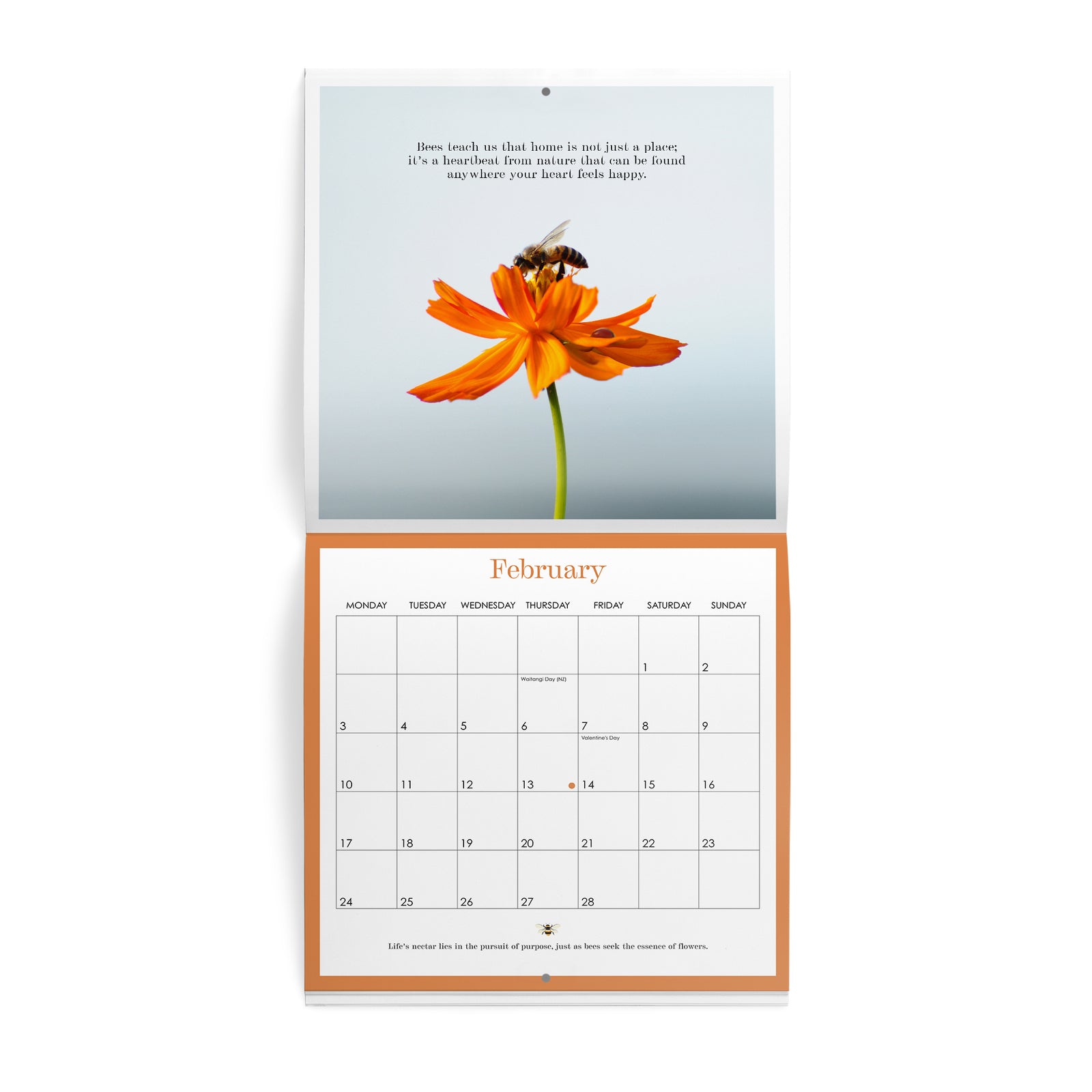 Affirmations Bee Wall Calendar 2025