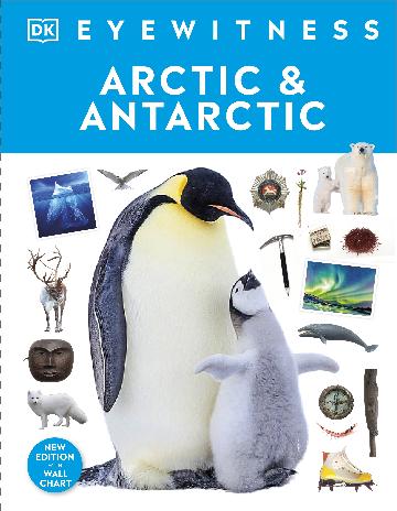 Arctic And Antarctic