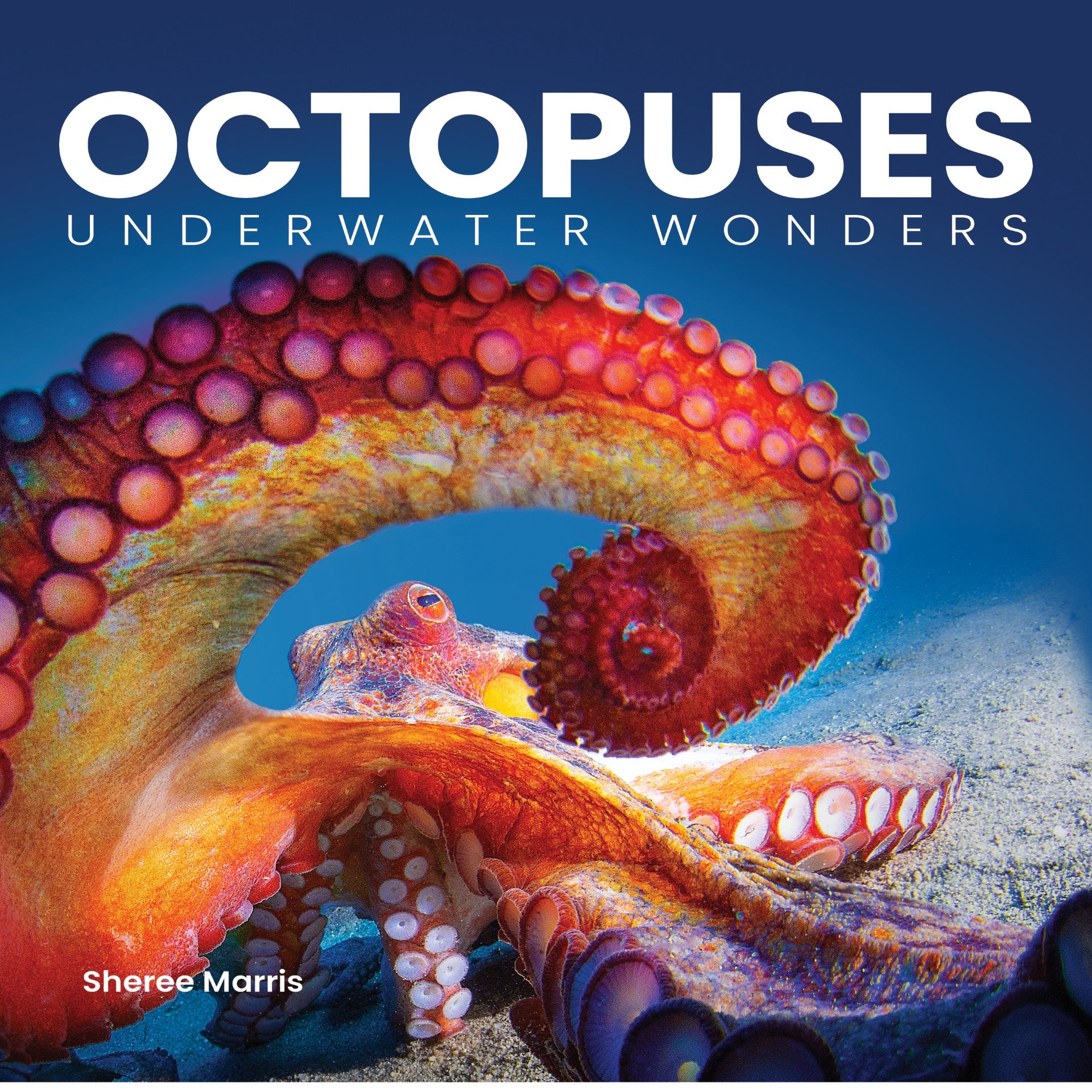 Octopuses Underwater Wonders