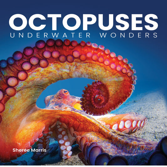 Octopuses Underwater Wonders