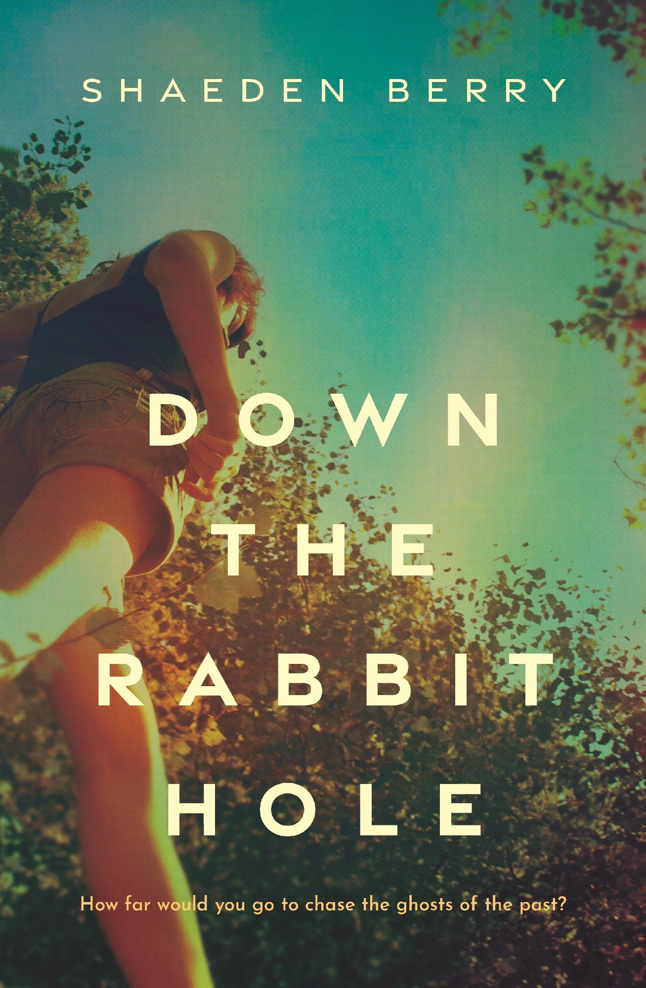 Down The Rabbit Hole - Shaeden Berry