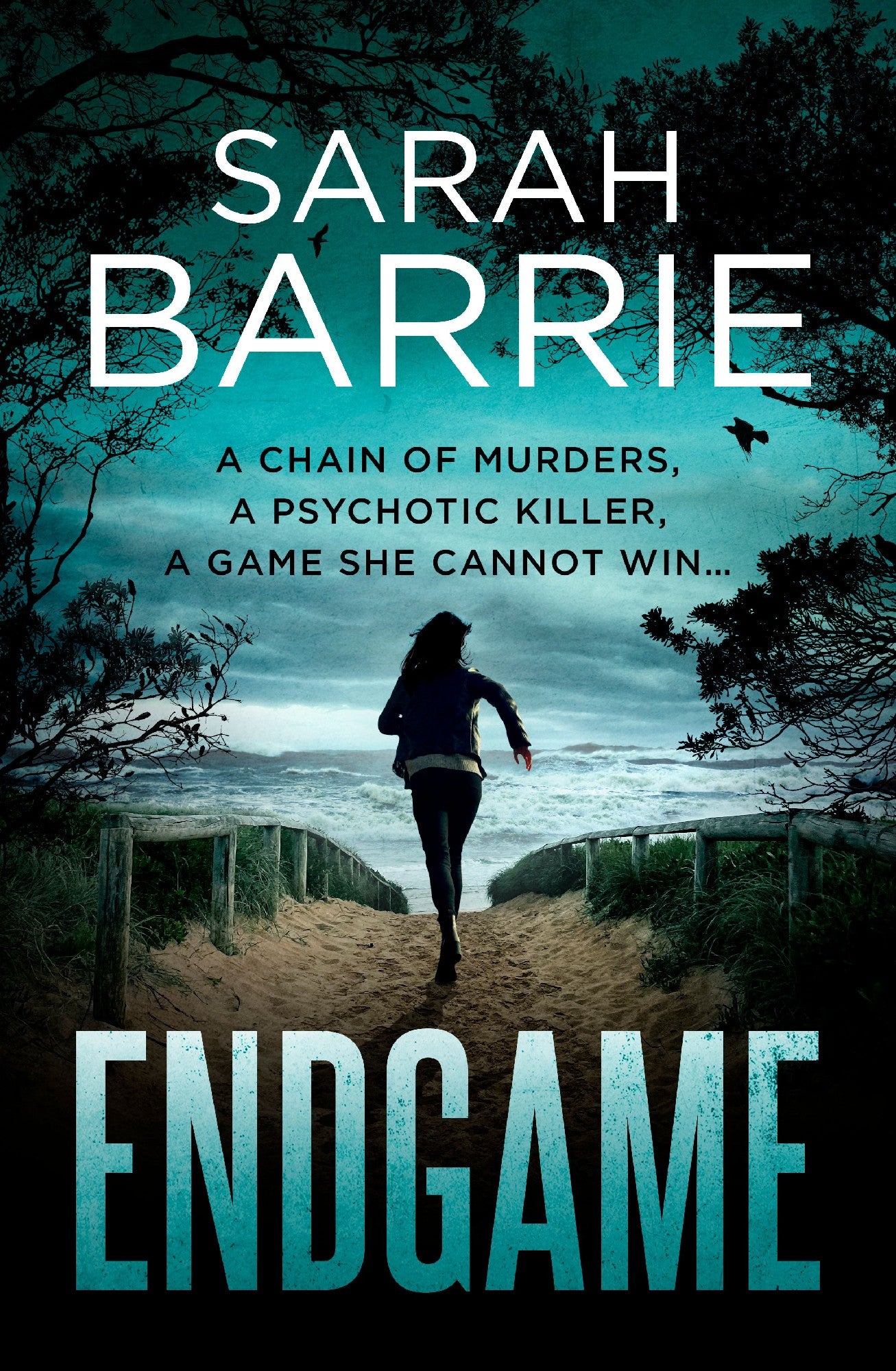 Endgame - Sarah Barrie