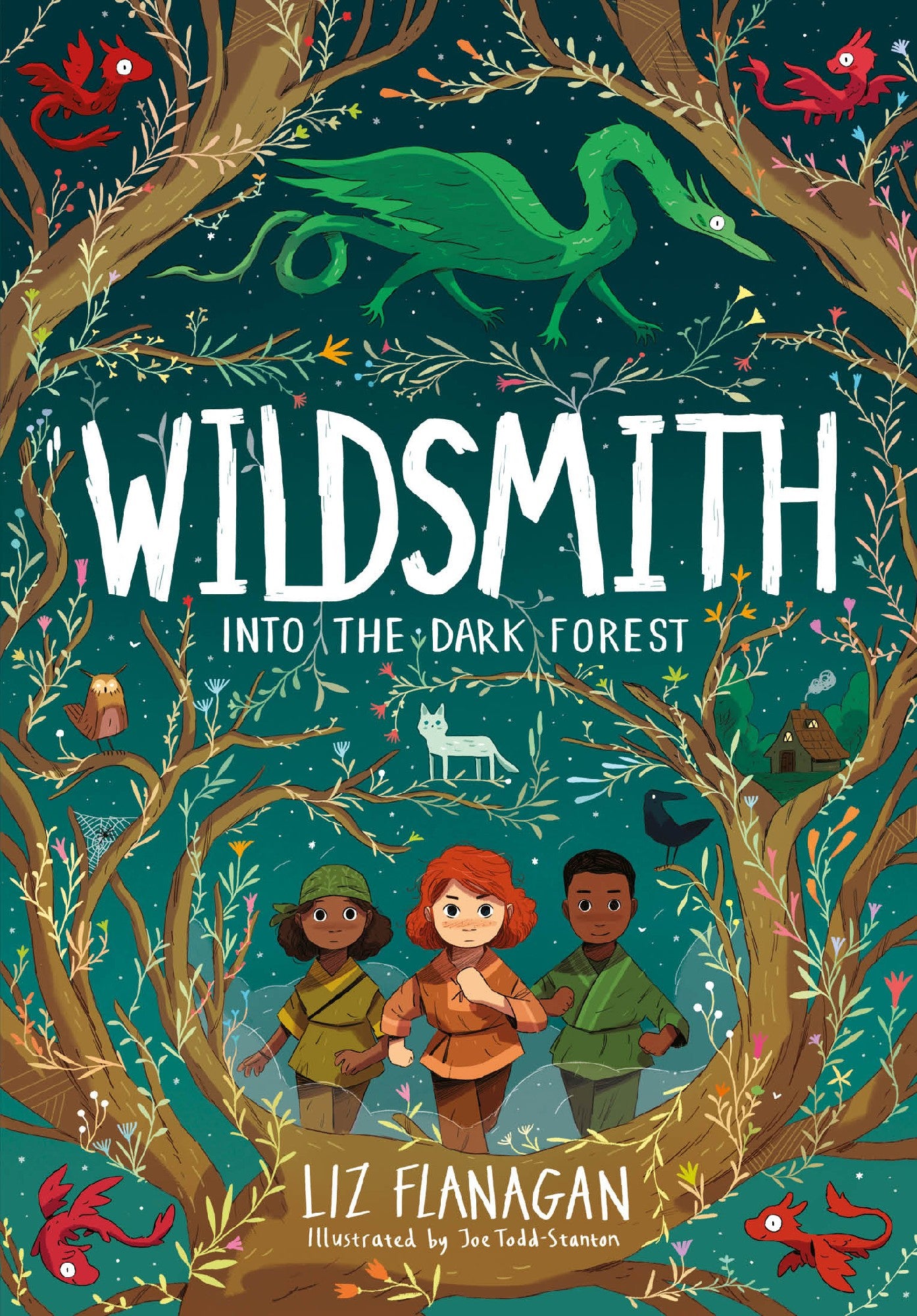 Wildsmith Into The Dark Forest - Liz Flanagan