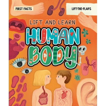 My First Lift-the-flap: Human Body - Olga Demidova